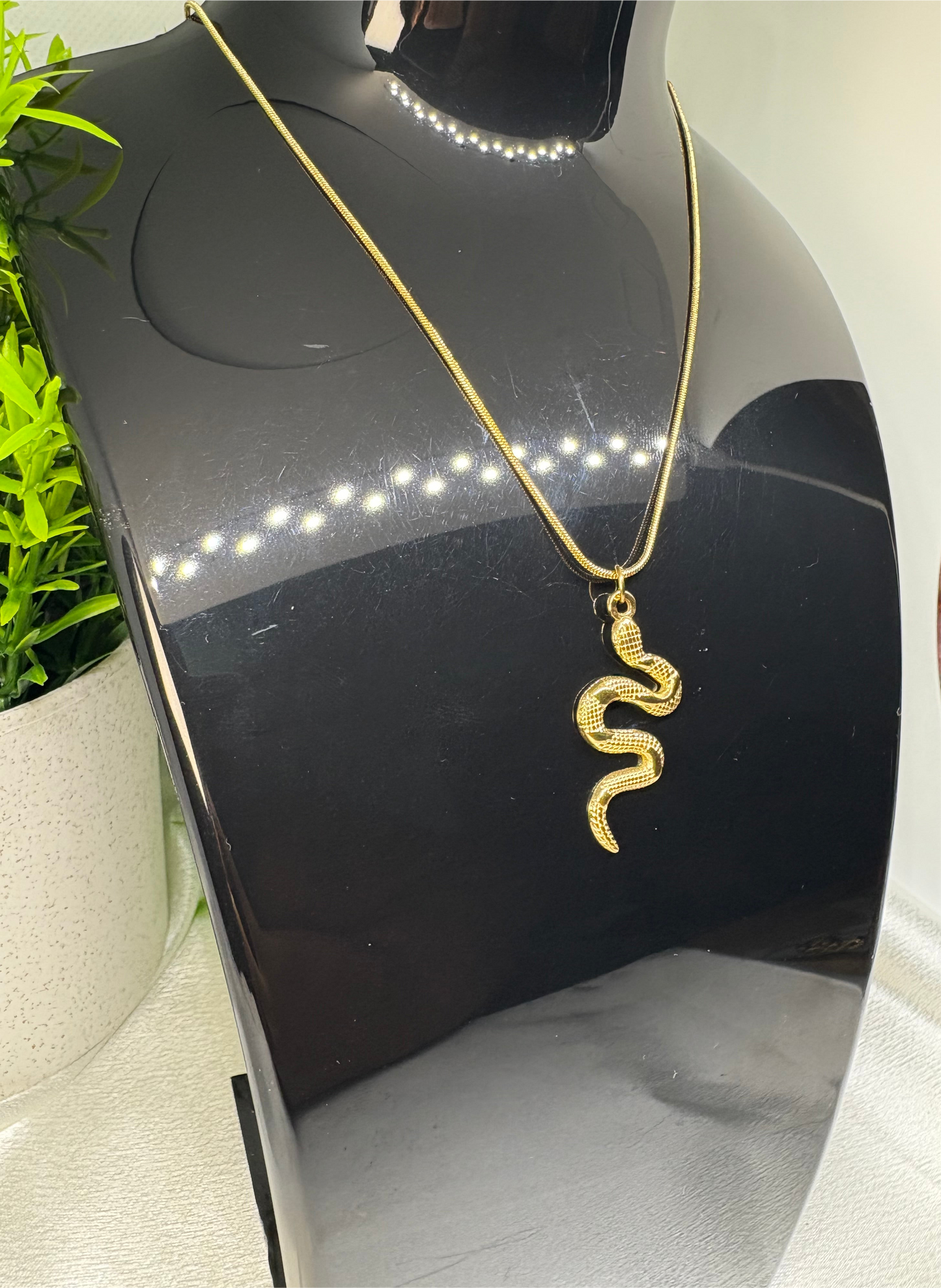Collier Snake