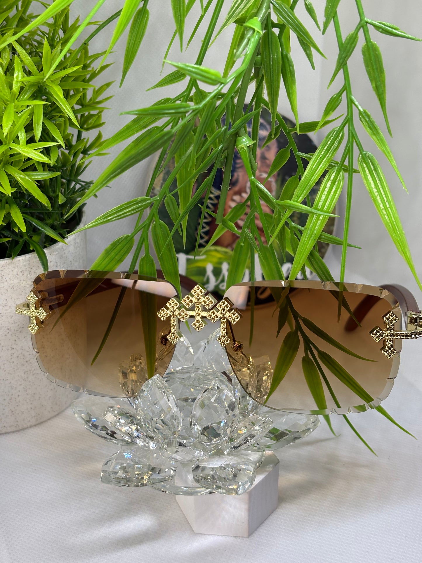 Lunette Sayfy Brown