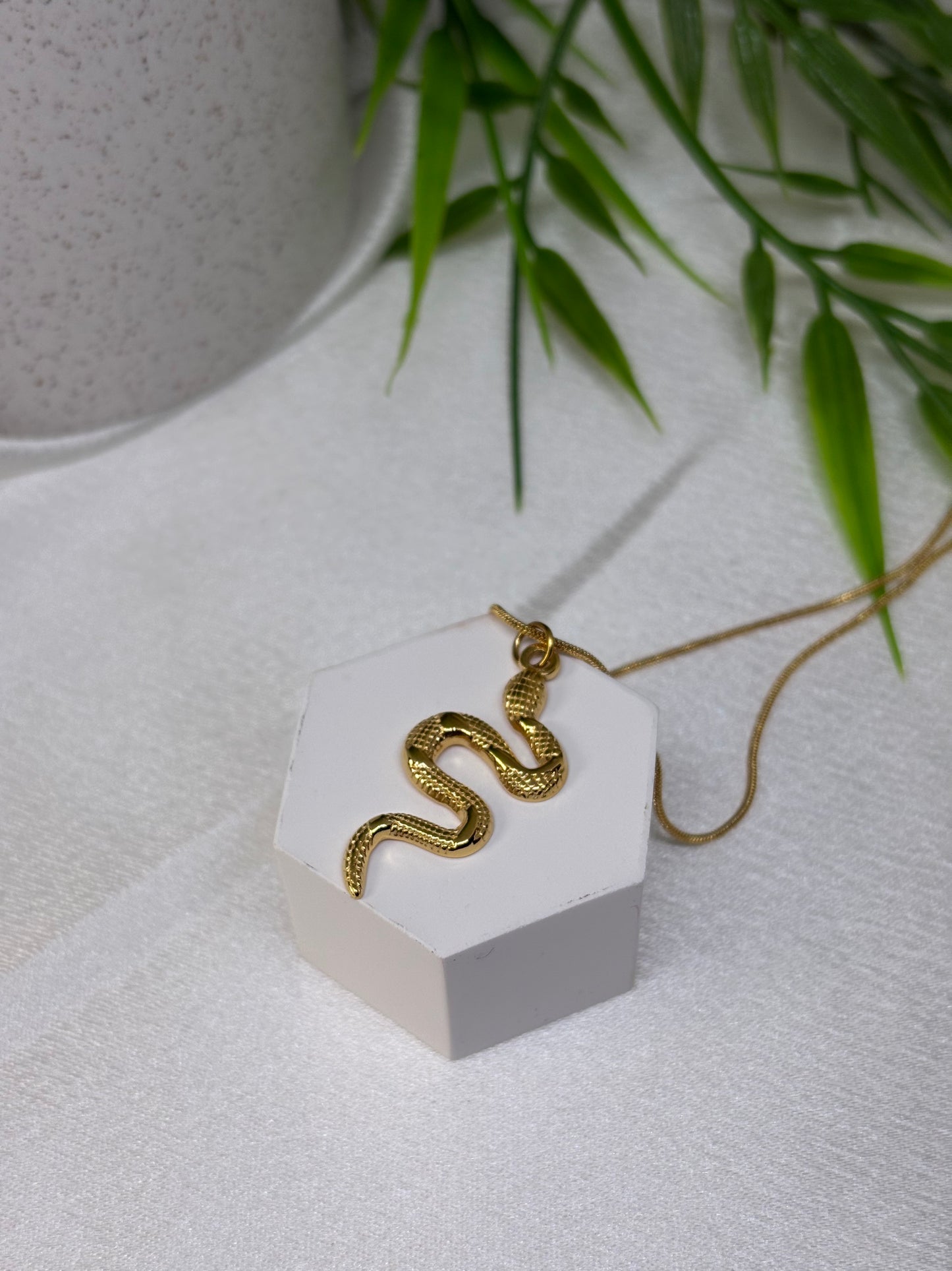 Collier Snake