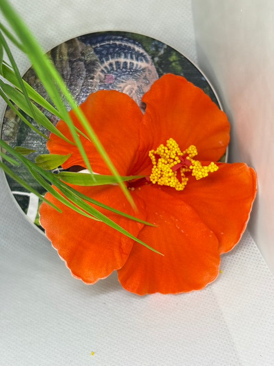 Fleur orange