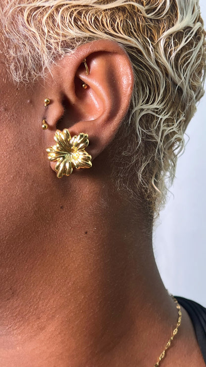 Boucle d’oreille Hibis