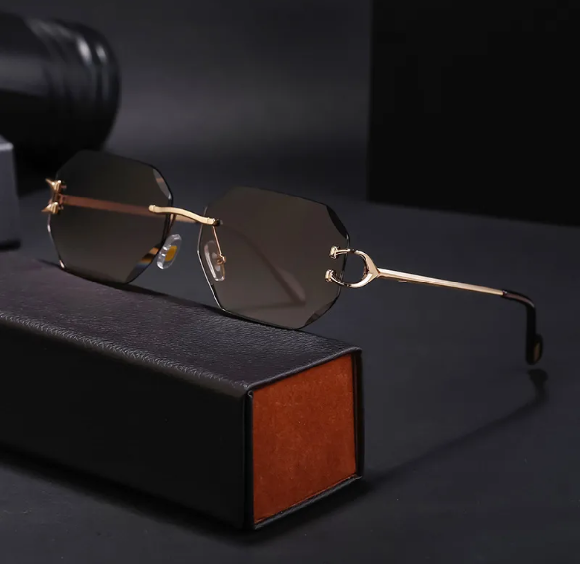 Lunette Segy Black