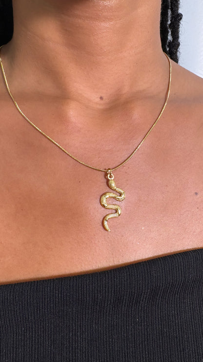 Collier Snake