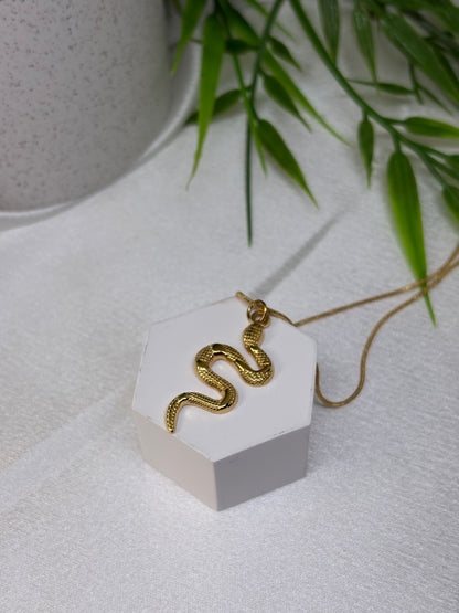 Collier Snake