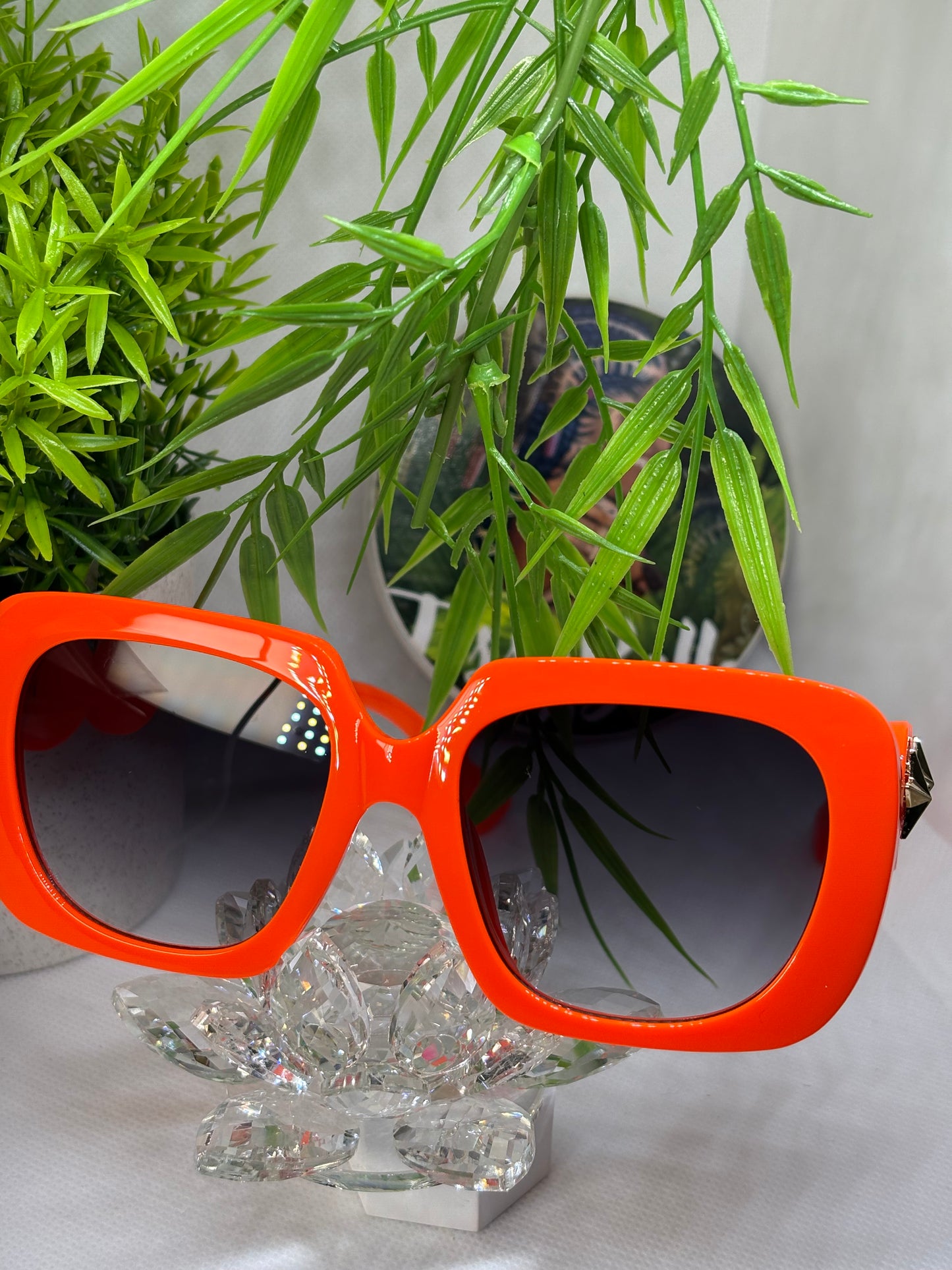 Lunette Star