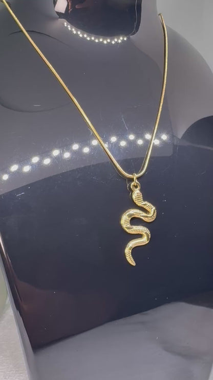 Collier Snake